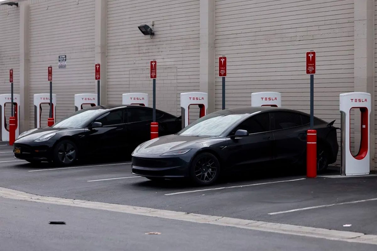 Varios vehículos Tesla cargando, en Burbank, California en Estados Unidos (Archivo). Crédito: EFE/EPA/ Caroline Brehman.