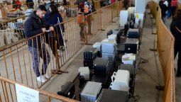 ¿Quién da más? Arranca el gran remate de la Aduana