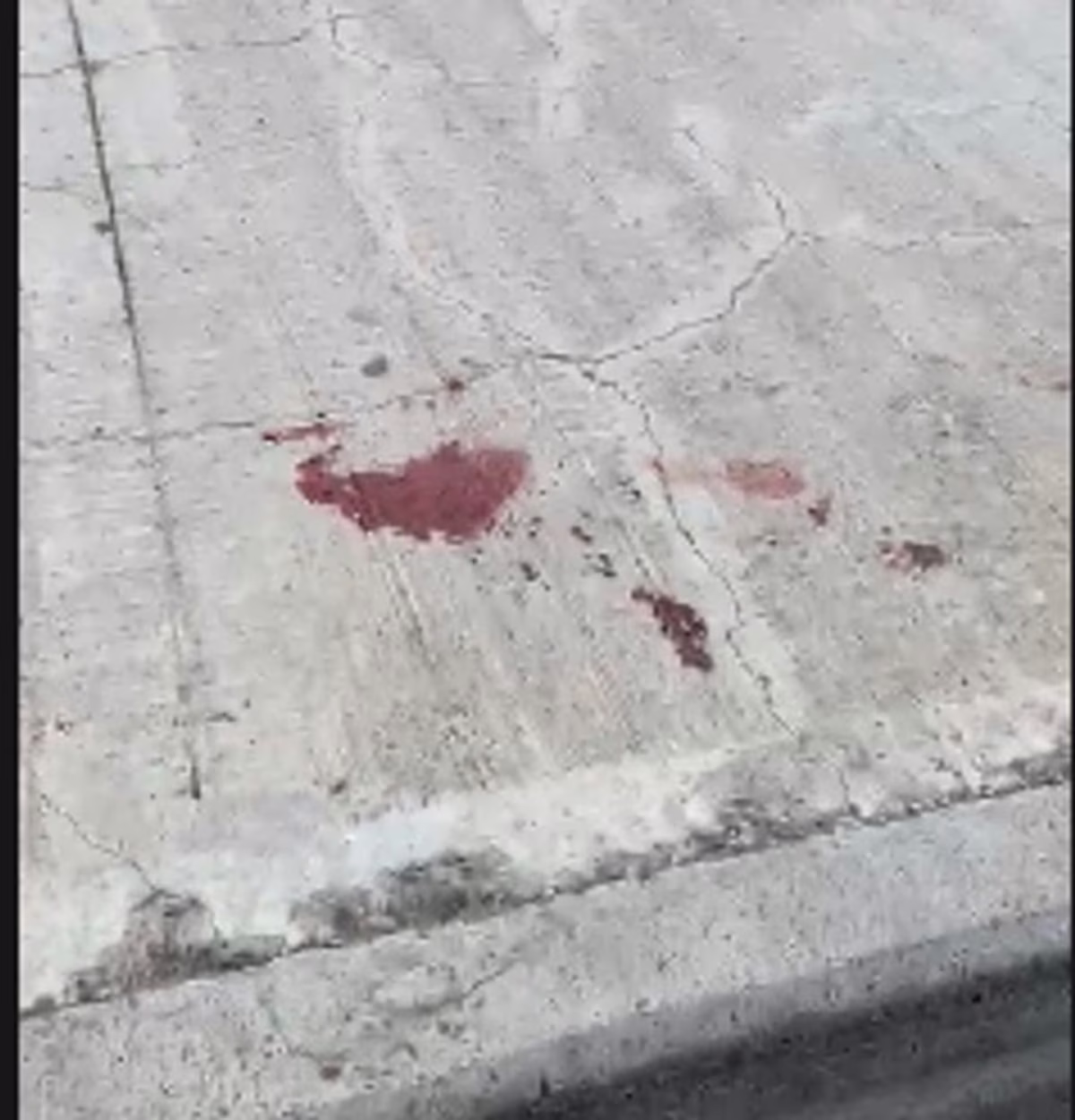 Una rágafa de disparos terminó con la vida de estas dos personas. Una rágafa de disparos terminó con la vida de estas dos personas. 