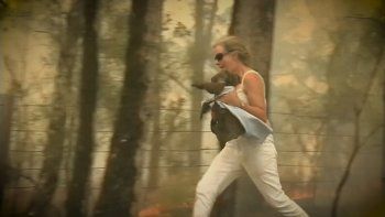 Incendios en Australia: una mujer salvó a un koala y el video se viralizó