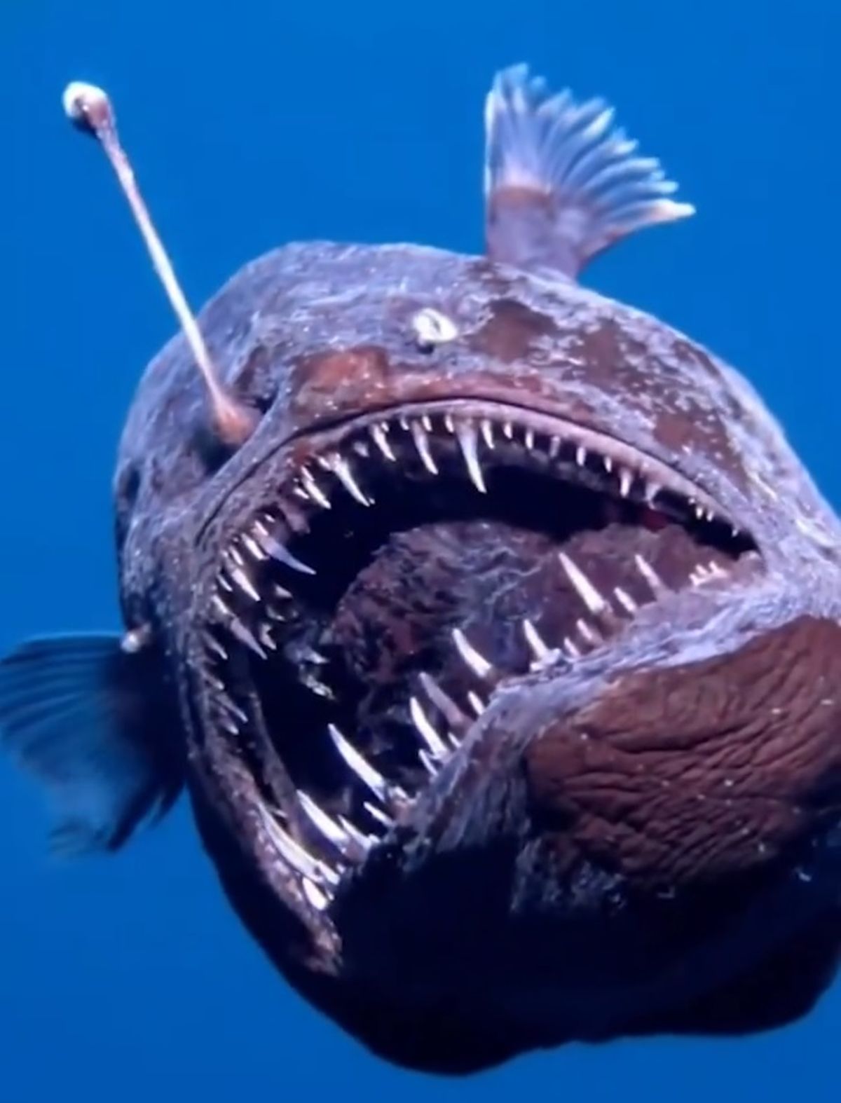 Este descubrimiento causó sensación en todo el mundo. Este descubrimiento causó sensación en todo el mundo.