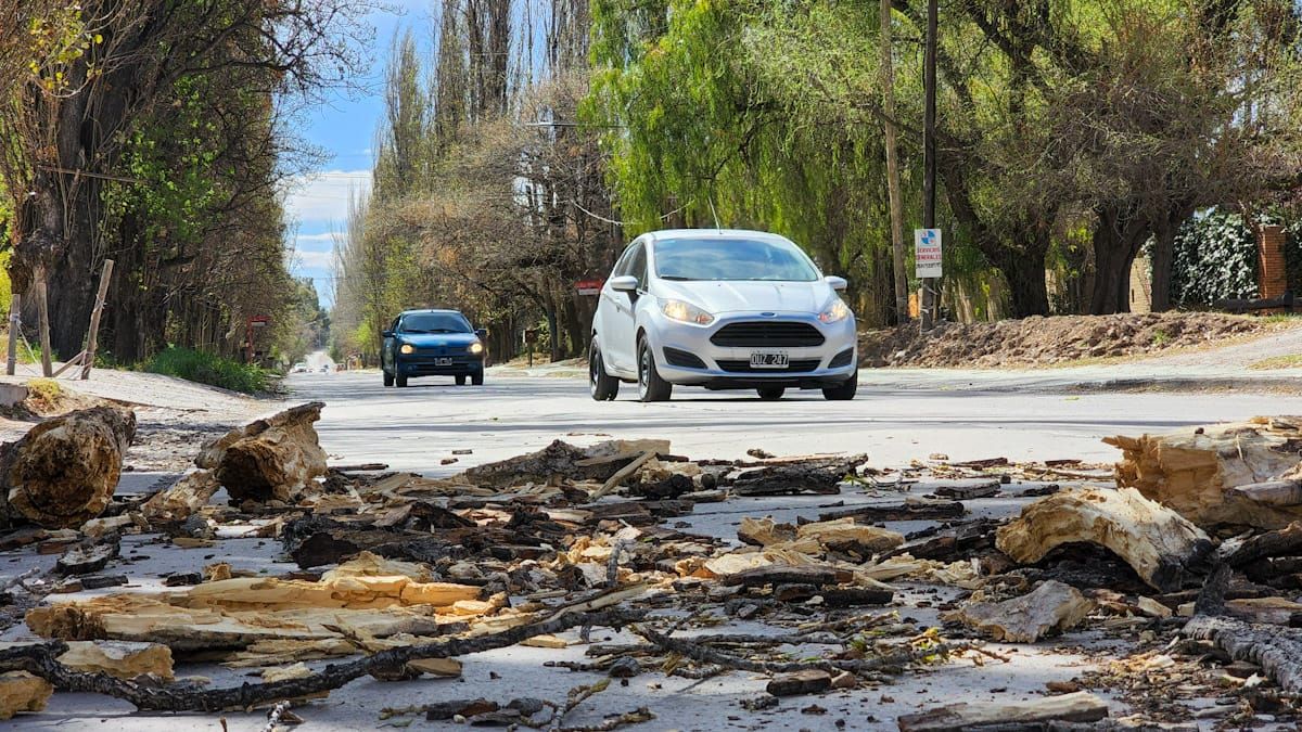 El viento Zonda comenzó a soplar en la precordillera y las actividades escolares fueron suspendidas primero en Potrerillos y luego en el Valle de Uco. Imagen ilustrativa.