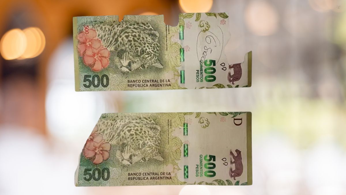 ¿Qué hacer con los billetes rotos o en mal estado?