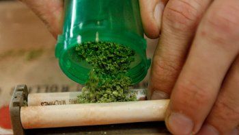 Cannabis para los males neurológicos