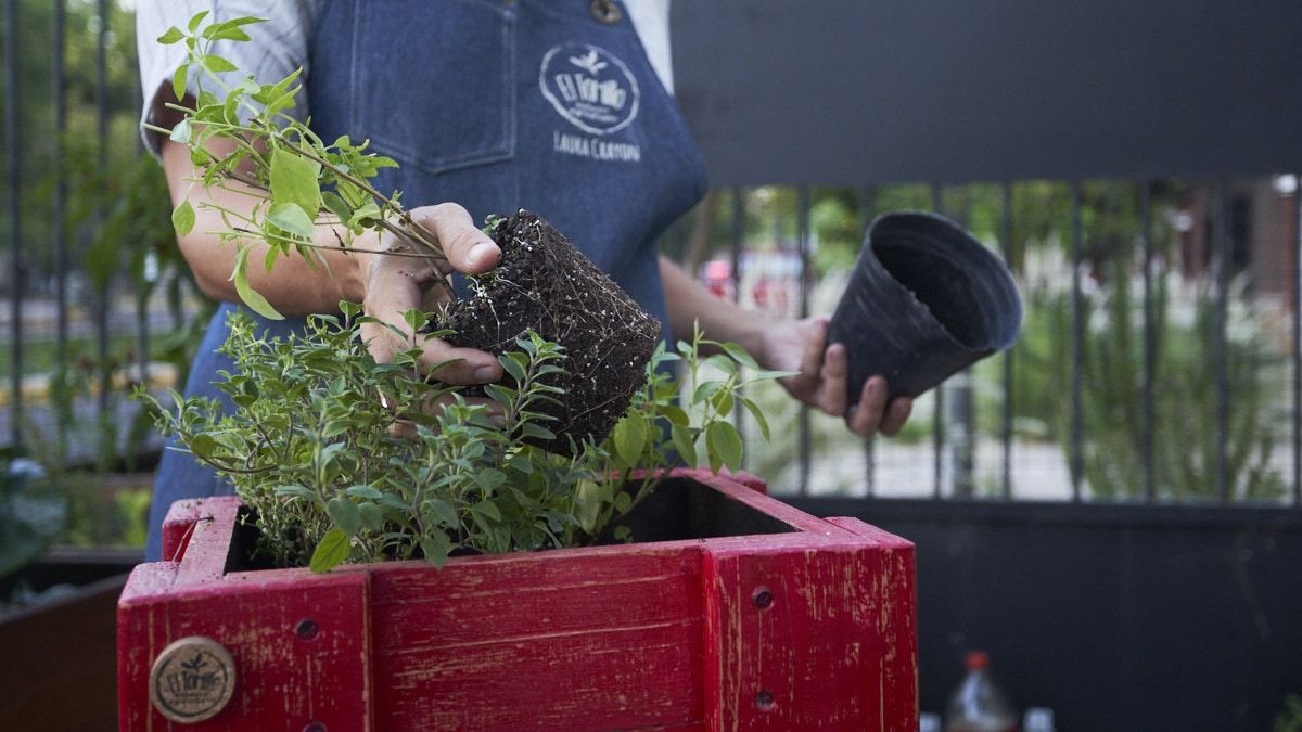 Uno de los objetivos de Laura es facilitar la reconexión de la naturaleza con las personas. Uno de los objetivos de Laura es facilitar la reconexión de la naturaleza con las personas.