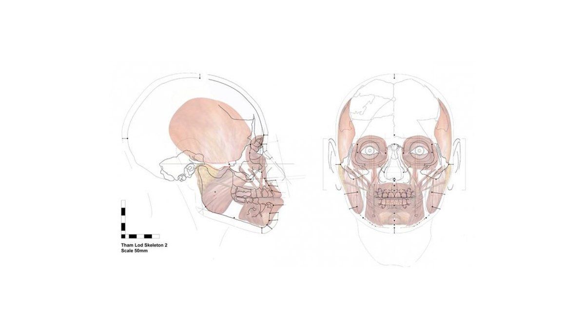 Reconstruyeron El Rostro De Una Mujer Que Vivió Hace Más De 13000 Años 5384