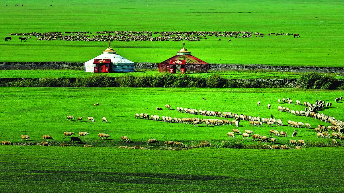Ovejas y caballos pastan en la Bandera de Chen Barag, Región Autónoma de Mongolia Interior. PARA USO DE CHINA DAILY &nbsp;
