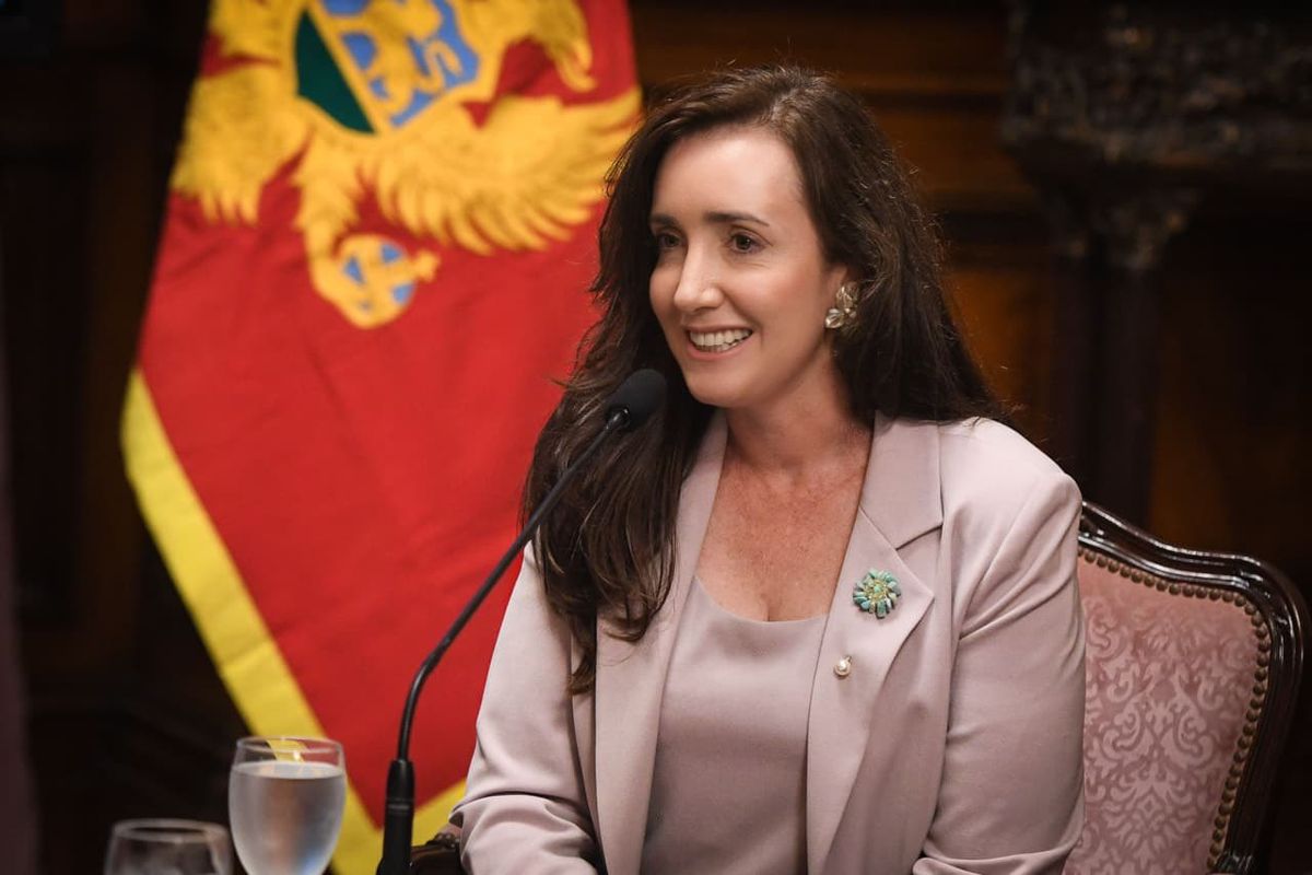 Victoria Villarruel calificó al biógrafo de Javier Milei como un 