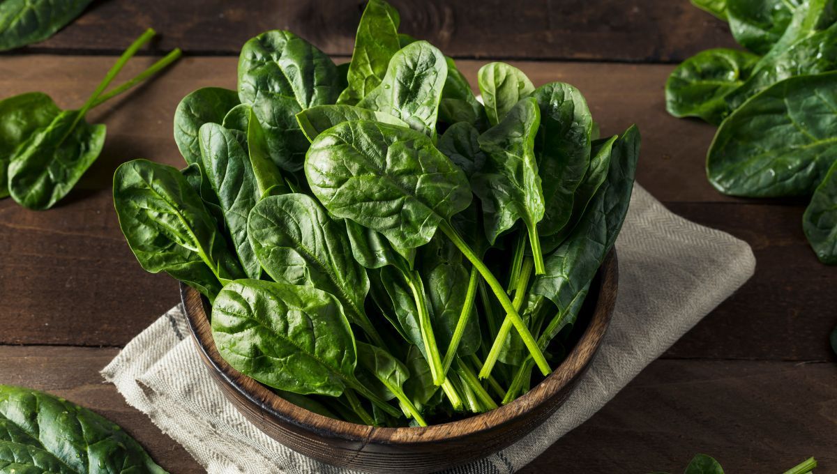 La espinaca aporta biotina, vitamina E y zinc, vitaminas necesarias para el crecimiento sano del cabello. La espinaca aporta biotina, vitamina E y zinc, vitaminas necesarias para el crecimiento sano del cabello.