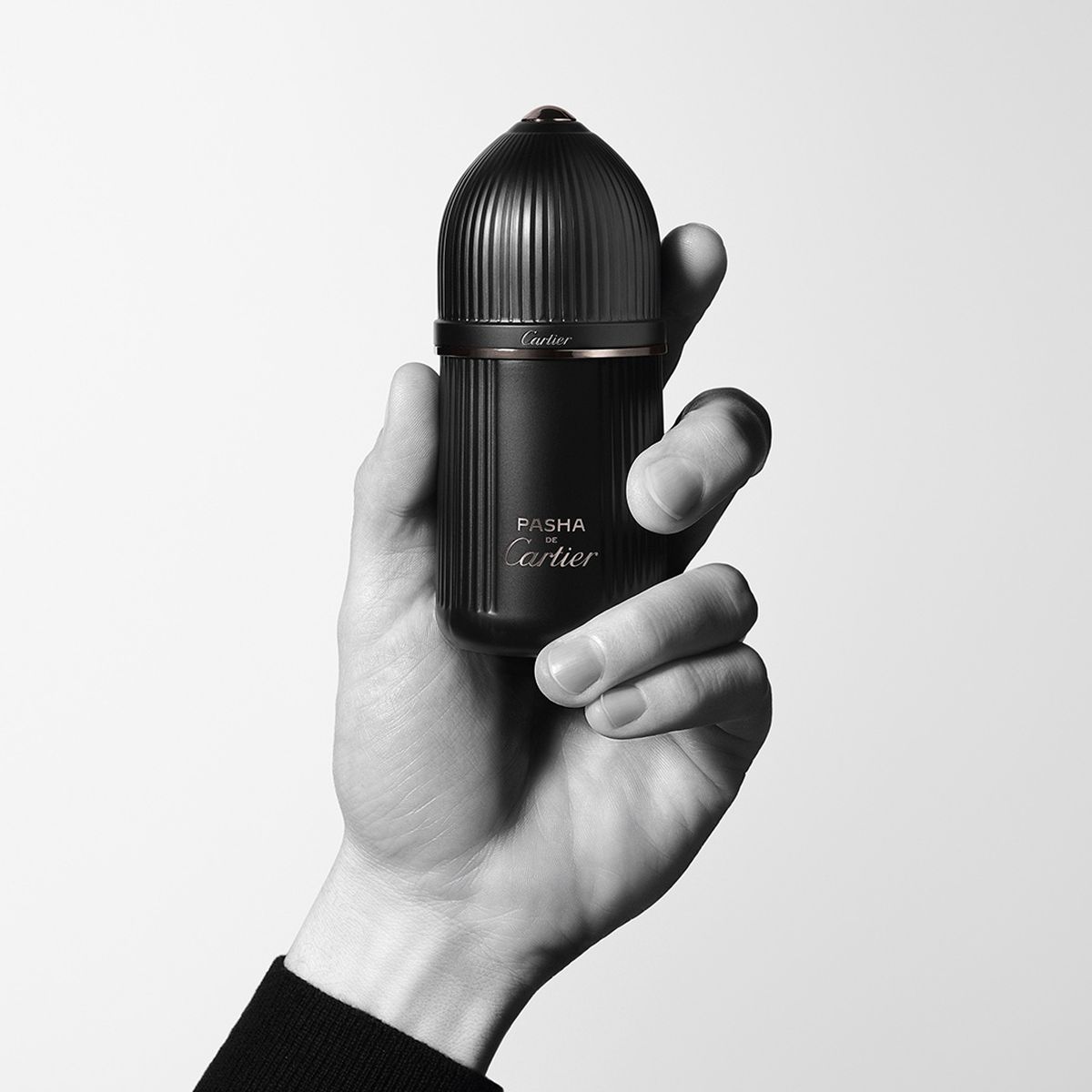 El Cartier Pasha Noir Absolu, es un perfume pensado para hombres +50. El Cartier Pasha Noir Absolu, es un perfume pensado para hombres +50.