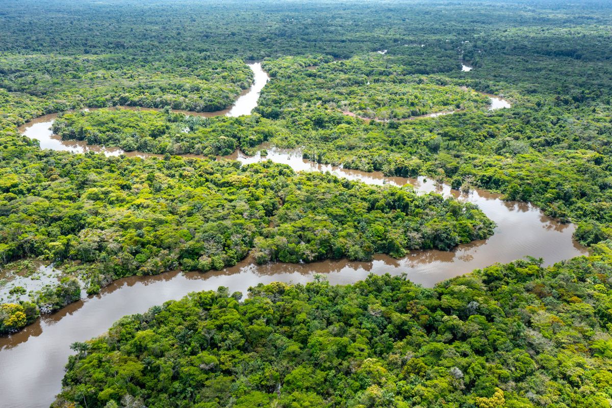 Por qué no hay ni habrá puentes para cruzar el río Amazonas pese a que se puede atravesar a pie