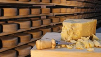 Reveló con qué se elabora el queso parmesano y traumó a todos
