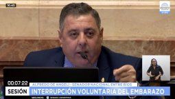 De Ángeli: Tenemos que a acompañar a la embarazada para que pueda criar a su hijo.