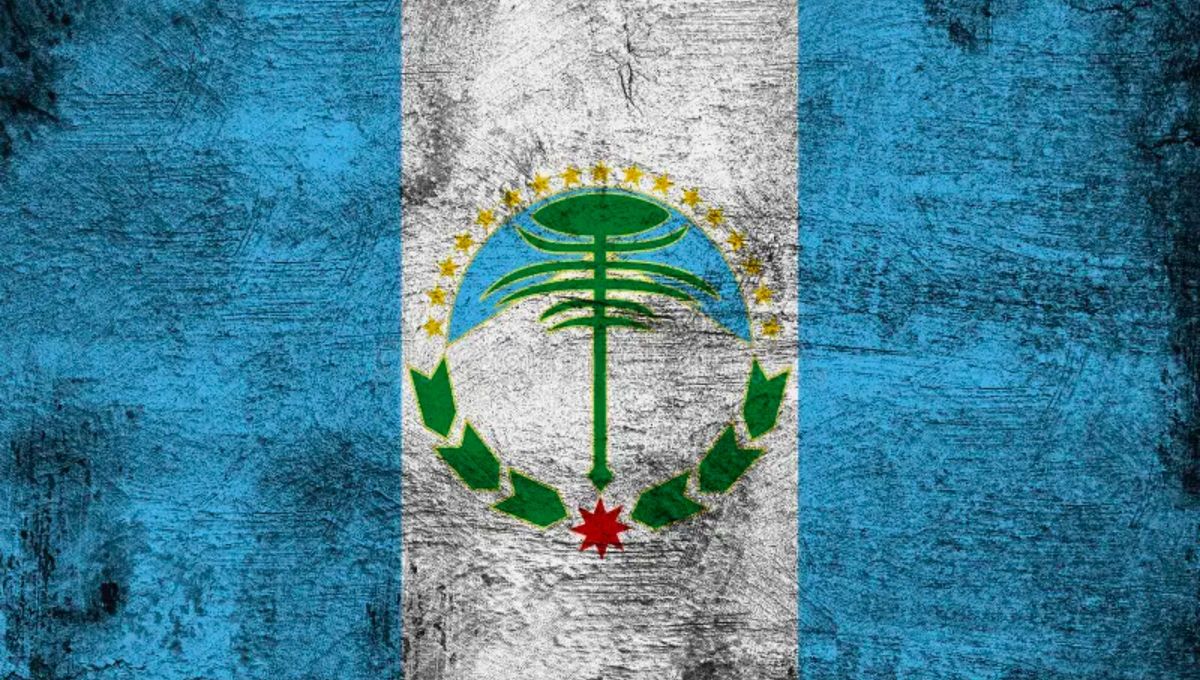 La bandera de la provincia del Neuquén fue adoptada como tal en 1989 bajo el Decreto 2766/89. La bandera de la provincia del Neuquén fue adoptada como tal en 1989 bajo el Decreto 2766/89.