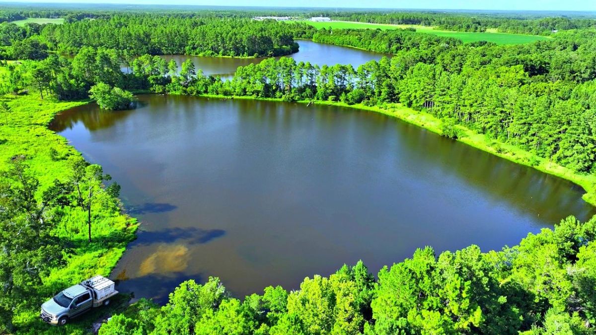 Transformó un campo de maní en un lago para criar peces y 1.000 días después, se convirtió en refugio para águilas, ciervos y búhos