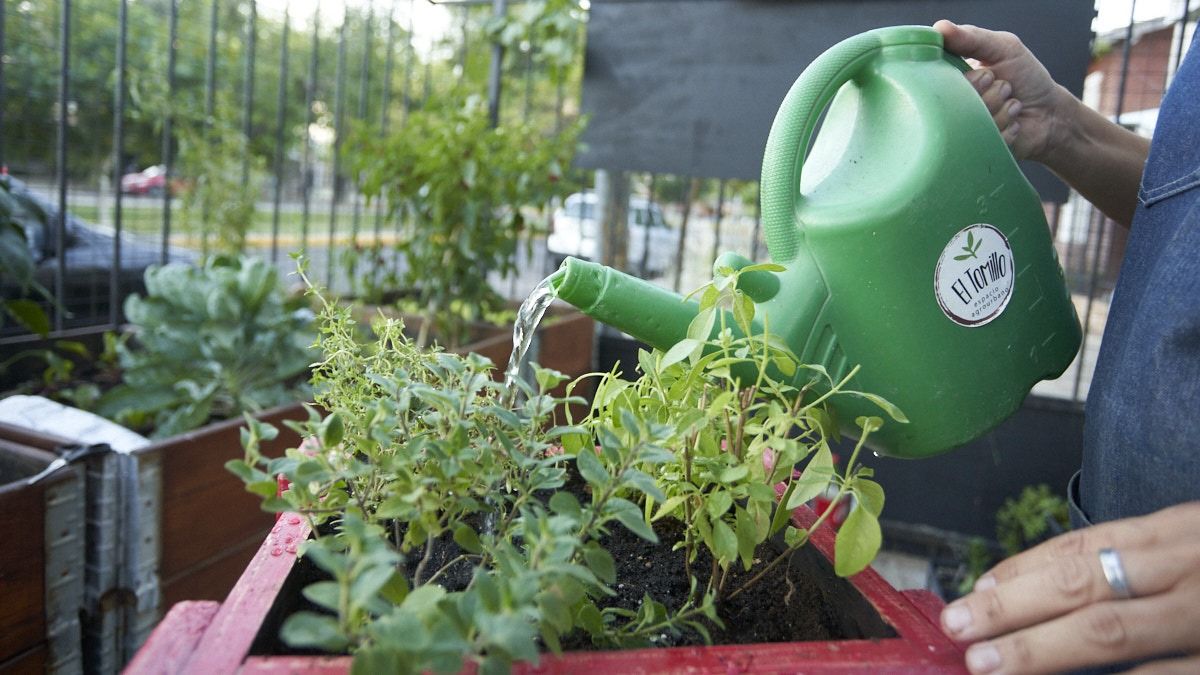 Laura dijo que la evolución de lo sustentable y orgánico la ve positiva en un 100%. Laura dijo que la evolución de lo sustentable y orgánico la ve positiva en un 100%.