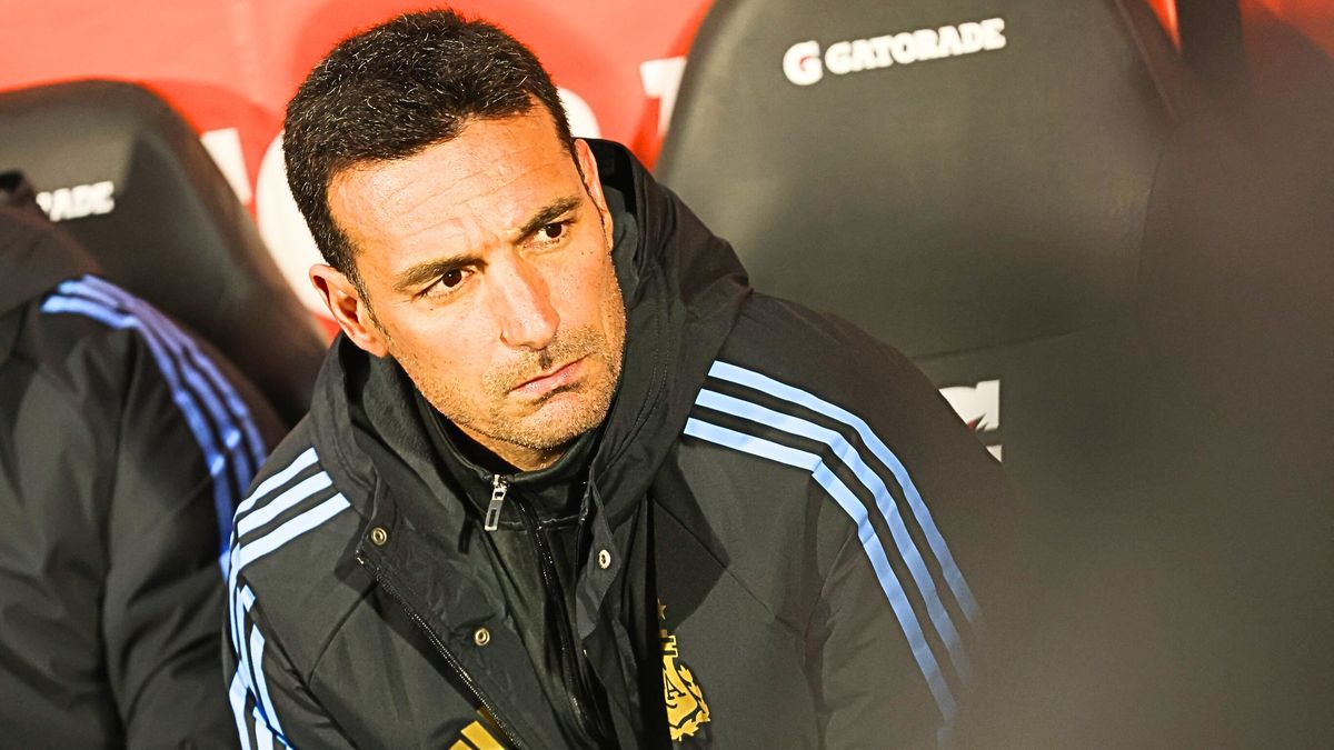 El DT de la Selección analizó lo ocurrido en Santiago.
