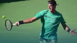 ¿Se viene Del Potro- Federer?