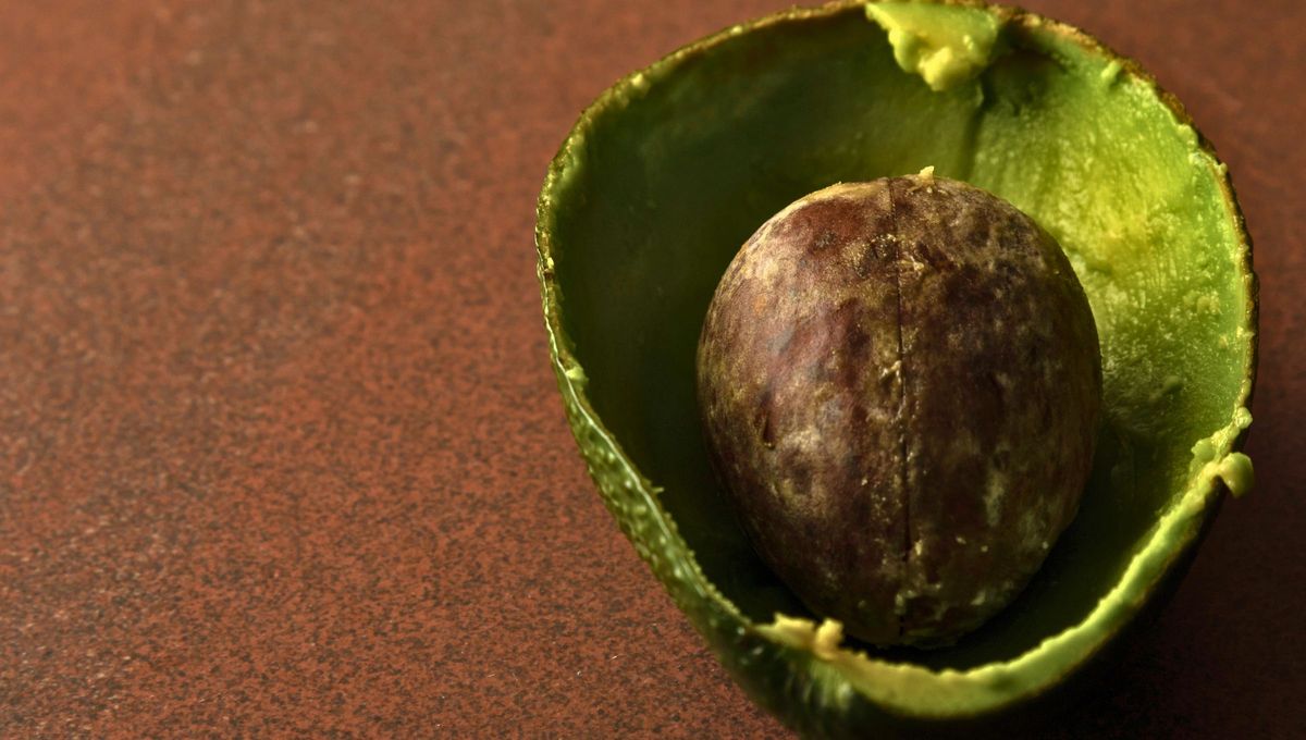 Esa piel rugosa y casi siempre desechada es un tesoro doméstico y cosmético que estabas desperdiciando sin saberlo. Foto Canva Esa piel rugosa y casi siempre desechada es un tesoro doméstico y cosmético que estabas desperdiciando sin saberlo. Foto Canva