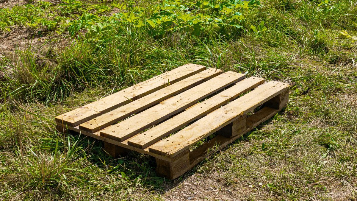 Entre todas las manualidades que propone el mundo DIY, se encuentra una excelente opción para reutilizar los palets que tengas sin usar