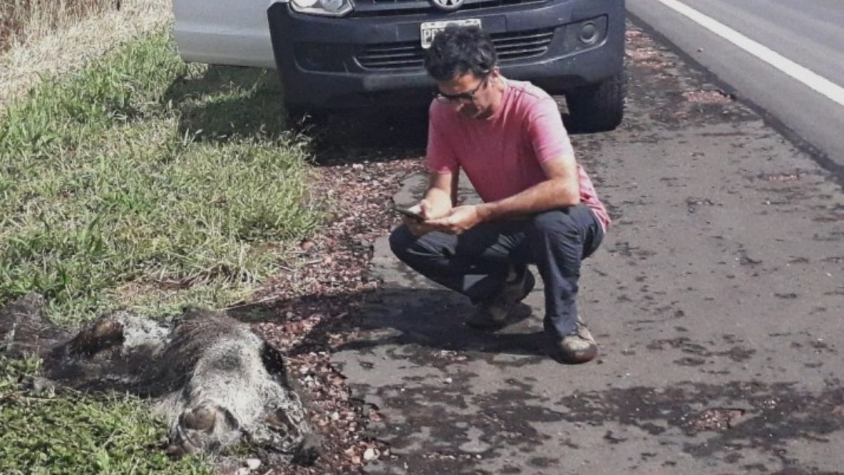 (Foto: RAMFA) (Foto: RAMFA)