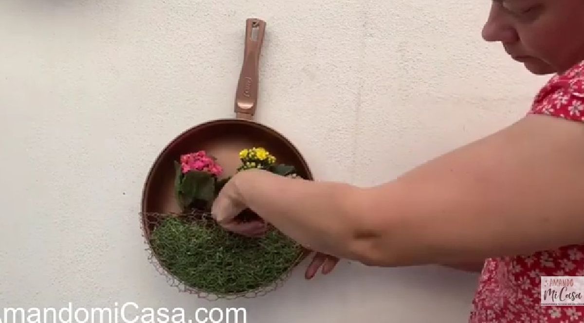 Tu viejo sart&eacute;n podr&aacute; convertirse en una elegante jardinera.