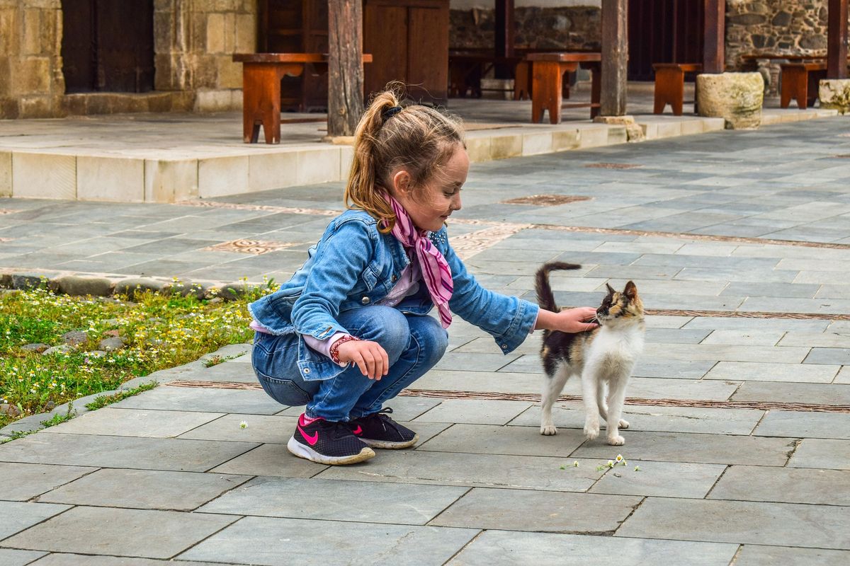 Qué significa si una persona siempre acaricia a los animales y qué revela de su personalidad