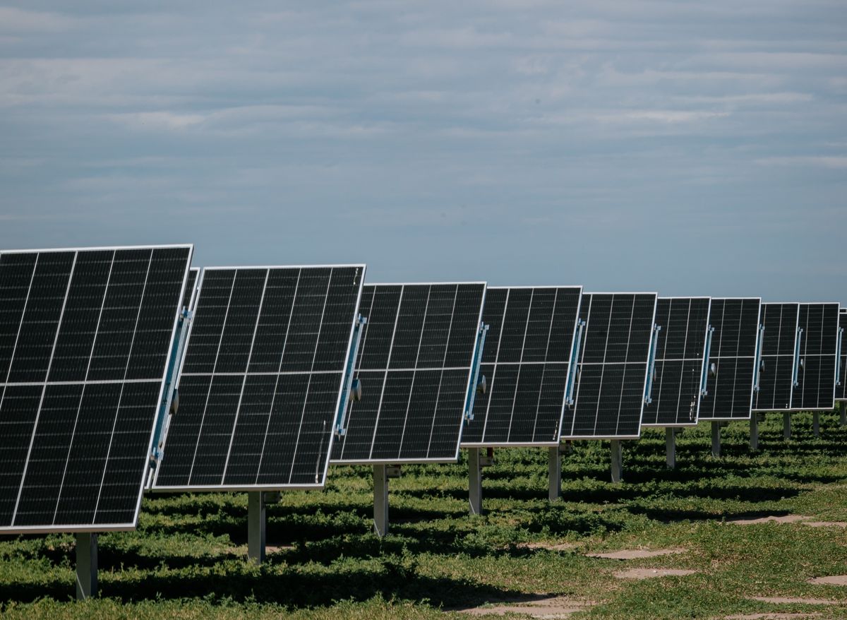 Los paneles ocupan más de 15 hectáreas de un terreno donde no hay sombras y el clima suele ser óptimo.