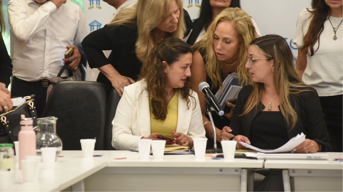 El Senado trató el proyecto minero de San Jorge en plenario de comisiones y quedó listo para votarlo