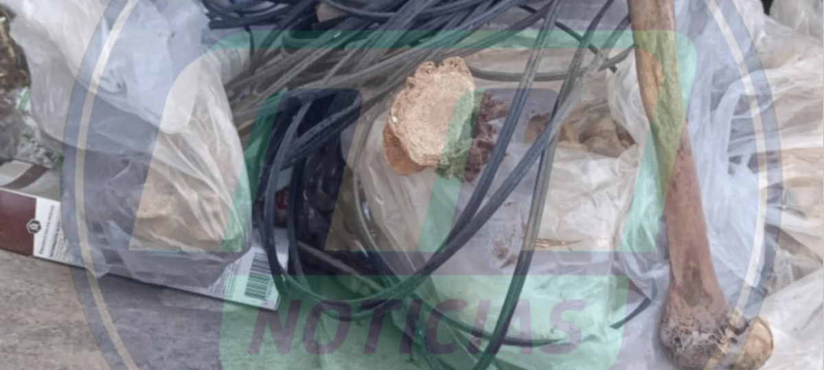 El macrabo hallazgo en Rivadavia. El macrabo hallazgo en Rivadavia.