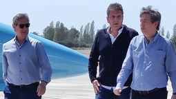 Ni Omar ni Emir Félix se pronunciaron públicamente tras el triunfo de Javier Milei en Mendoza y en el país.&nbsp;