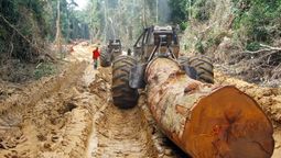 China desafía a Estados Unidos en un selva que asegura el futuro tecnológico de ambas naciones China desafía a Estados Unidos en un selva que asegura el futuro tecnológico de ambas naciones