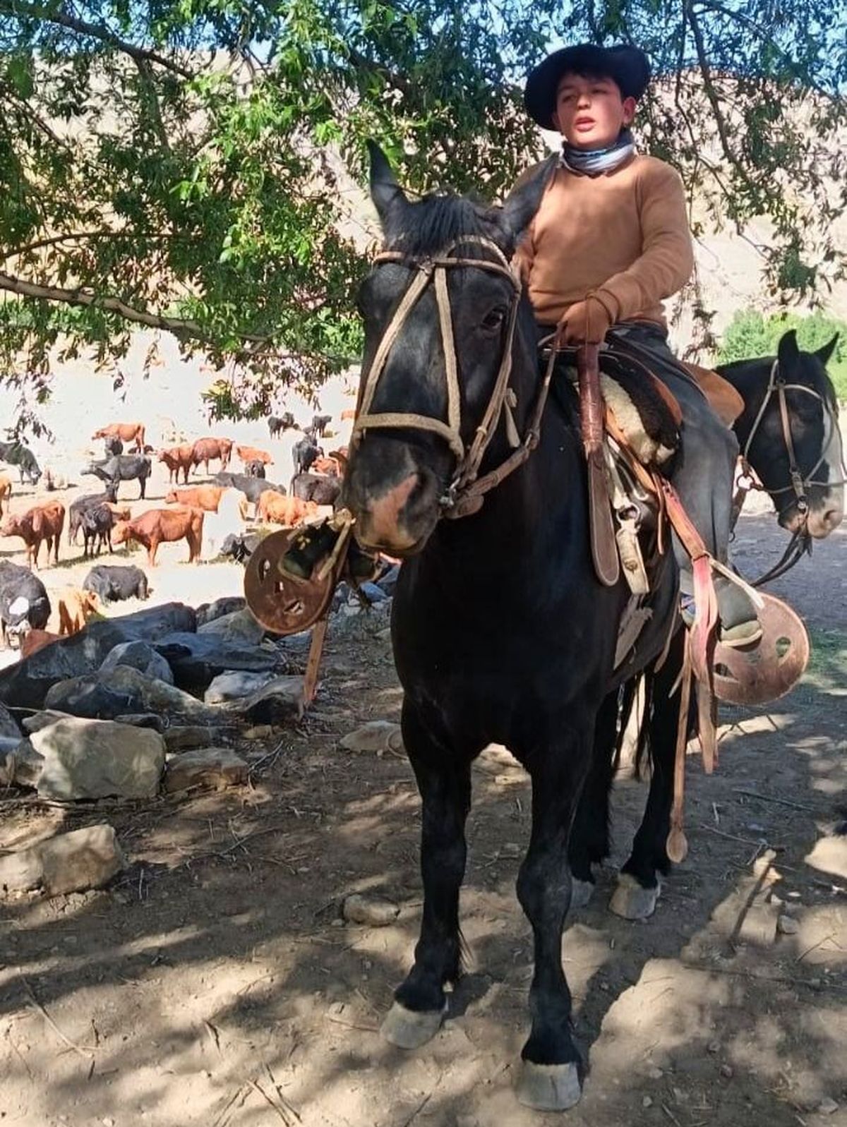 El pequeño Saúl disfruta de esta tarea rural tan arraigada a su provincia. El pequeño Saúl disfruta de esta tarea rural tan arraigada a su provincia.