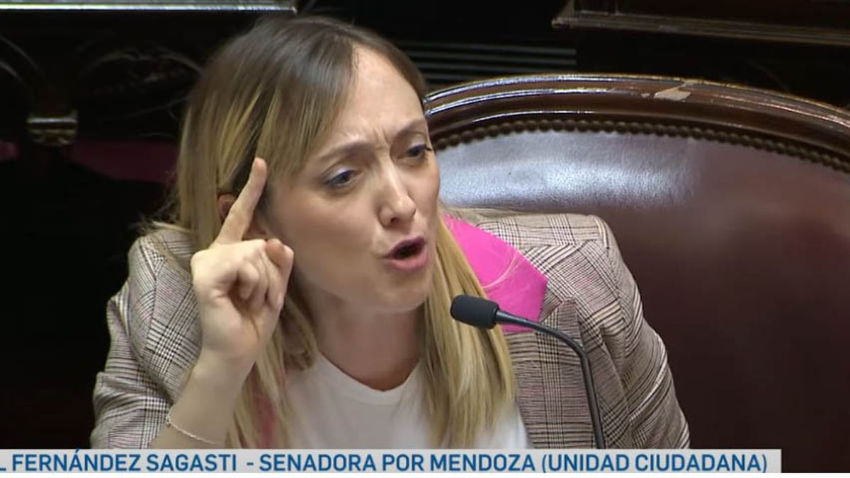 Anabel Fernández Sagasti cuestionó al presidente Javier Milei. Anabel Fernández Sagasti cuestionó al presidente Javier Milei.