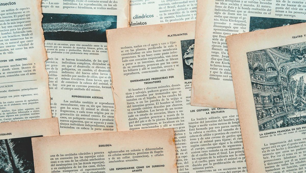 Las palabras nombras, describen, comunican y transmiten emociones, sin importar el idioma. Las palabras nombras, describen, comunican y transmiten emociones, sin importar el idioma. 
