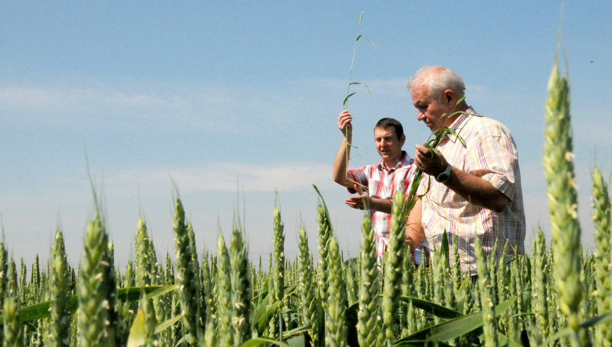 6 de agosto: día del Ingeniero Agrónomo
