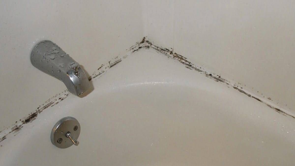 Excelentes trucos caseros para eliminar definitivamente las manchas de moho de la bañadera. Excelentes trucos caseros para eliminar definitivamente las manchas de moho de la bañadera.