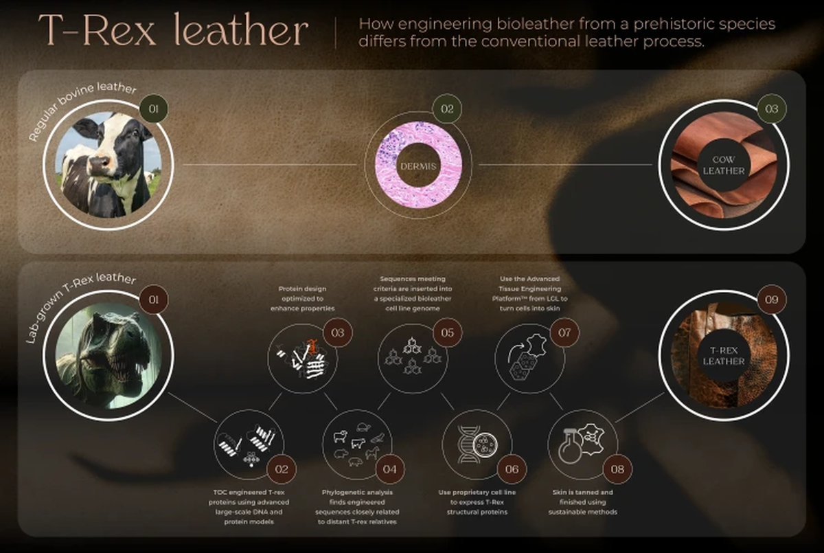 El cuero de dinosaurios sería una alternativa al de vacas, muy utilizado en la industria de la moda. El cuero de dinosaurios sería una alternativa al de vacas, muy utilizado en la industria de la moda.