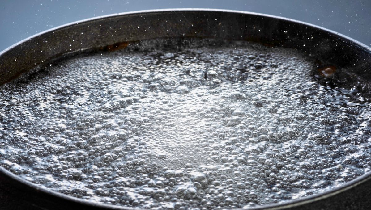 El agua hirviendo, un elemento efectivo contra las plagas. El agua hirviendo, un elemento efectivo contra las plagas.