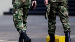 Por comer pollo con arroz. Un soldado y su perro murieron intoxicados .