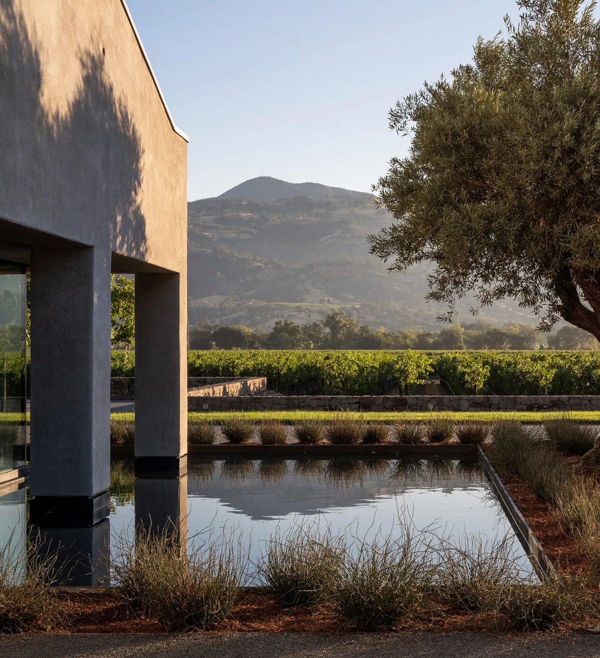 Esta región de Estados Unidos se extiende por 22 millas, incluye las ciudades de Healdsburg, Geyserville y Cloverdale. Esta región de Estados Unidos se extiende por 22 millas, incluye las ciudades de Healdsburg, Geyserville y Cloverdale.