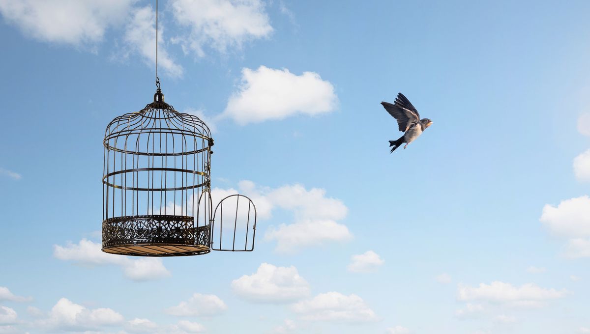 Esta palabra representa la libertad y fluidez con la vida. Esta palabra representa la libertad y fluidez con la vida. 