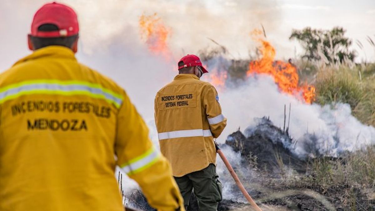 Desde el gobierno provincial aseguraron que son casi 90 mil las hectáreas quemadas por incendio de campos en lo que va del año 2023. Sebastián Melchor destacó la importancia de la concientización ciudadana y la denuncia al 911 para actuar más rápido.