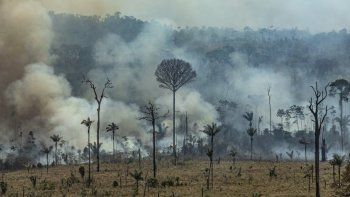 Los habitantes de un estado cercano al Amazonas, se están 