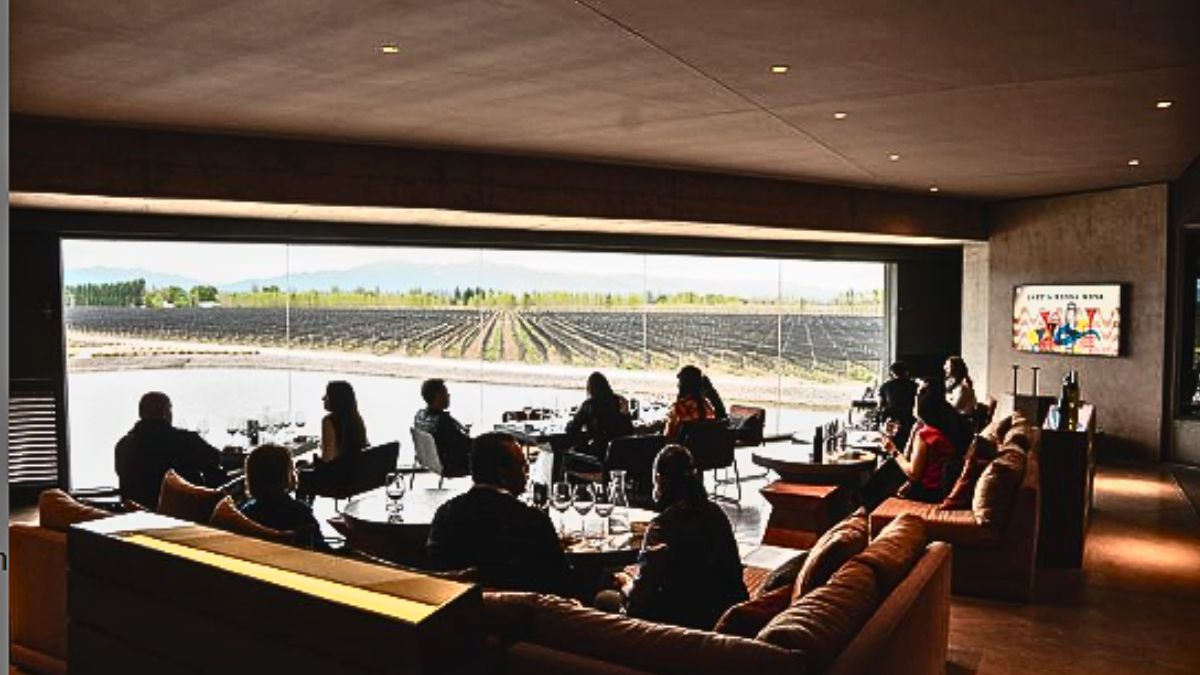 El living de Anaia Wines, con los viñedos de fondo. El living de Anaia Wines, con los viñedos de fondo.