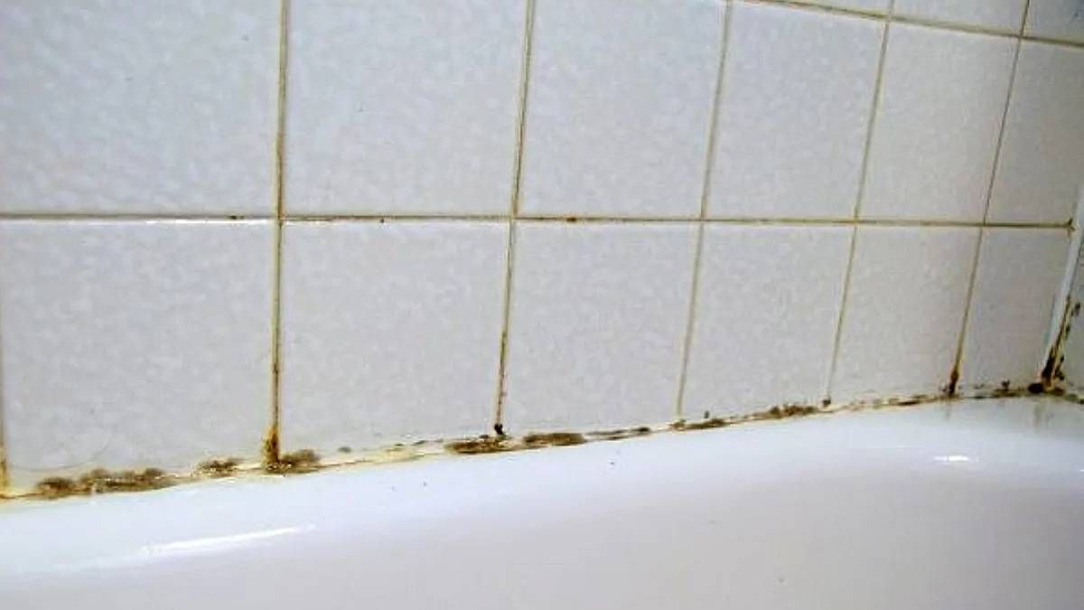 Trucos caseros: dile adiós al moho de la silicona de la bañadera en 30 minutos Trucos caseros: dile adiós al moho de la silicona de la bañadera en 30 minutos