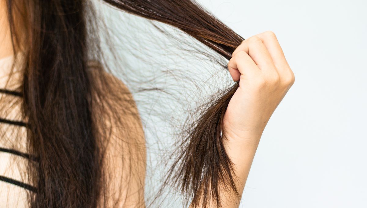 7 trucos naturales para evitar el pelo seco y con frizz en invierno