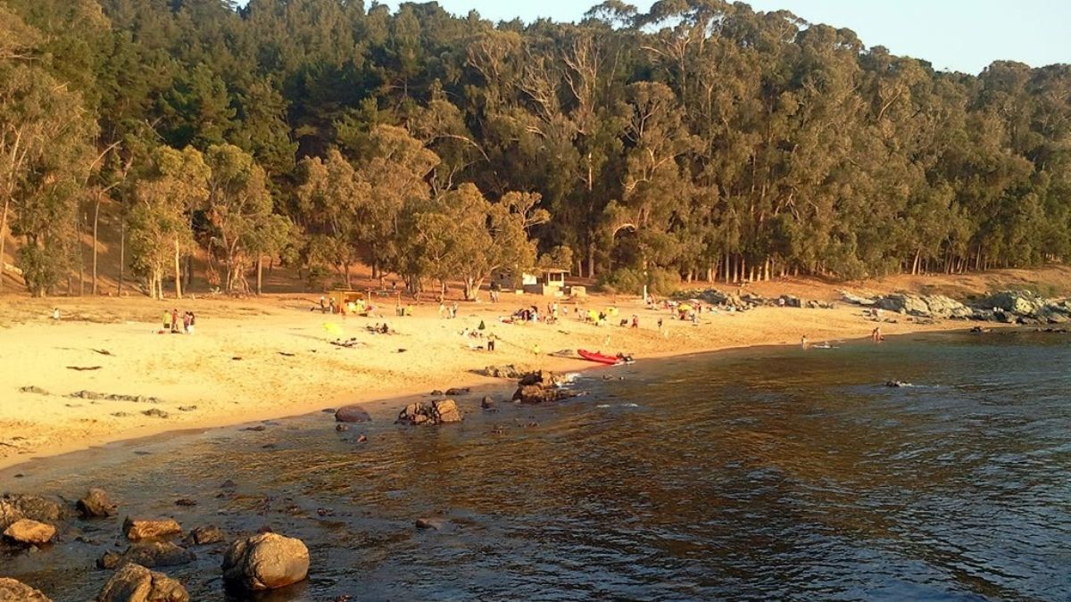 La playa El Lilén causa furor en el turismo de Chile. La playa El Lilén causa furor en el turismo de Chile.