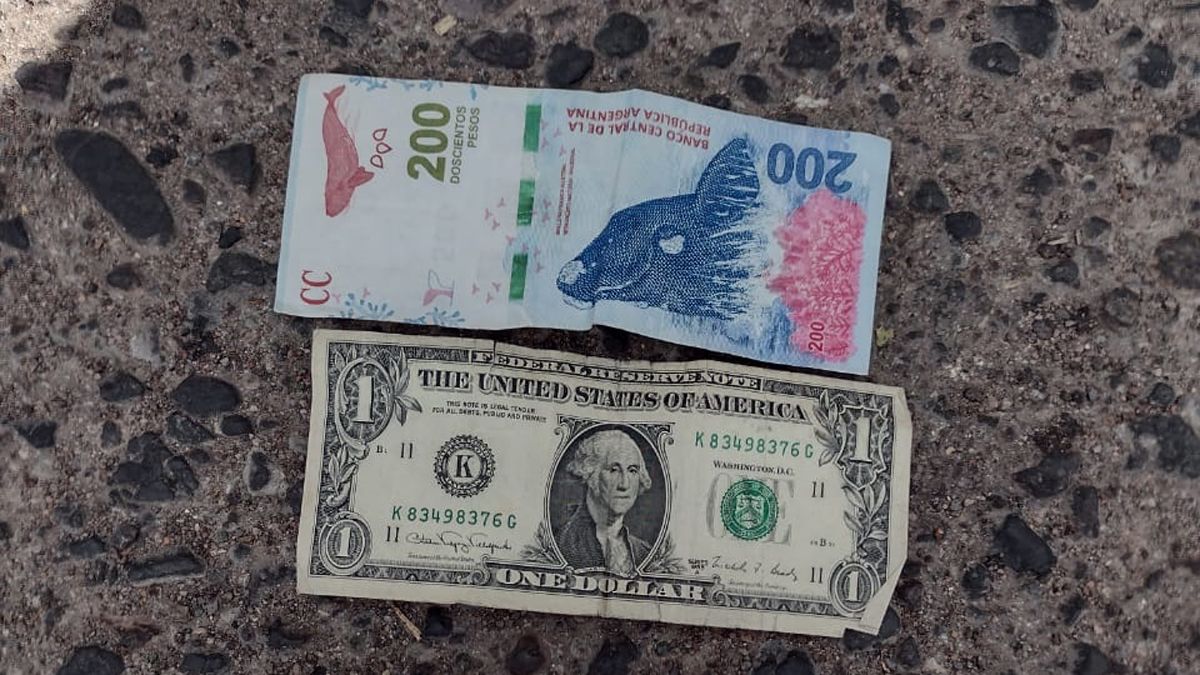 Intentó robar un auto y fue perseguido por la dueña