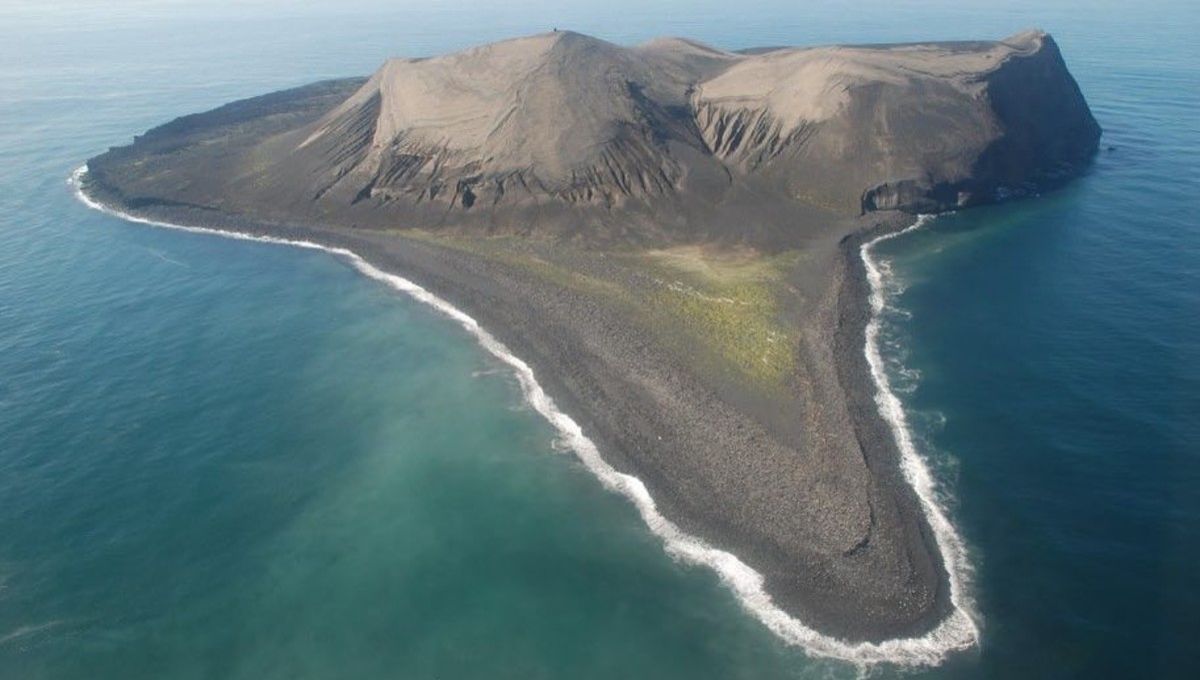 La isla más joven del mundo emergió del océano y muestra cómo se forman los ecosistemas